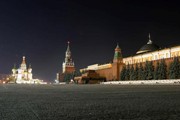 MOSCA BY NIGHT